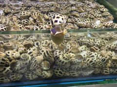 -鲤鱼门海鲜街