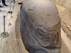 -白鹤梁水下博物馆