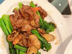 -美心皇宫(屯门大会堂店)