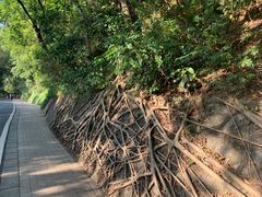 -广州市白云山风景名胜区