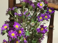 -美丽心情蛋糕(江苏路店)