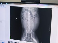 -全心全意连锁动物医院·微创中心·内科急重症·心脏专科(丰管路店)