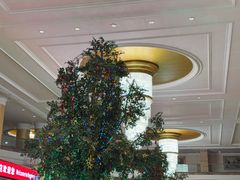 -帝豪酒店•马可勃罗西餐厅