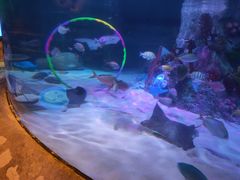 -沈阳海洋探索中心