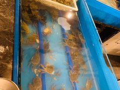-星伦多自助料理(花山金鹰店)