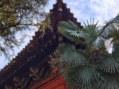 -洛阳白马寺