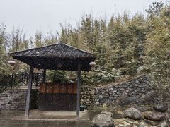 -崇阳三特浪口温泉