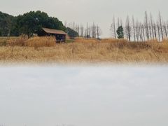 -良渚古城遗址公园