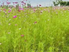 -汉长安城未央宫国家考古遗址公园