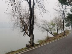 -团城山公园