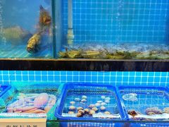 -隆喜元鱼汤包·海鲜(中联广场店)