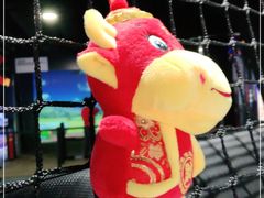 -VS SPORTS PARK运动玩乐园·团建·生日会(合生汇店)