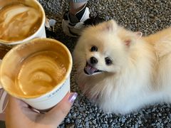 -J Create城市露营咖啡·简餐·宠物(上海动物园店)