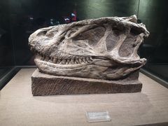 -自贡恐龙博物馆