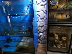 -Thai Basil罗勒叶泰式餐厅(时代天街店)