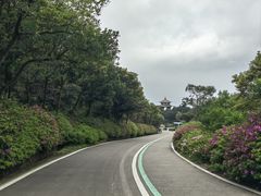 -梧桐山风景名胜区