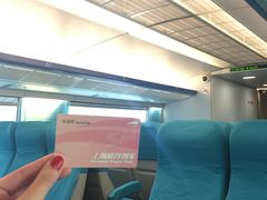 -龙阳路磁悬浮列车总站-停车场