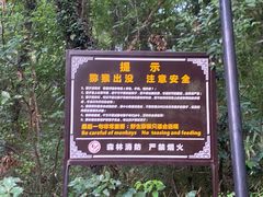 -苏州上方山国家森林公园