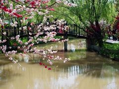 -南汇桃花村