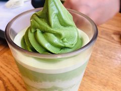 -雪绿茶博物馆