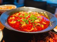 激情鱼蛙恋-成都娃娃花园餐厅 (南艺旗舰店)
