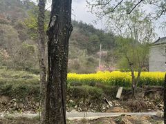 -木兰云雾山