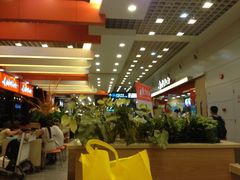 -东方既白(上海浦东国际机场)