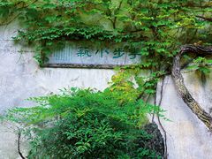 -留园