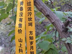 -濂泉响谷
