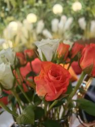 -花隐·美芙炫海菲秀皮肤管理中心