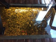 -颐和•海鲜砂锅粥•啫啫煲(奥林匹克广场店)