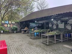 -都江堰中华大熊猫苑
