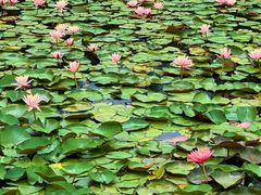 -白鹭湾湿地公园