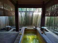 -春晖园度假酒店温泉