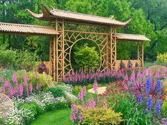 -上海共青森林公园