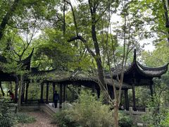 -上海佘山国家森林公园天马山园