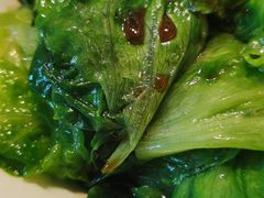 -金苑海鲜酒家(来魅力店)