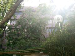 -香港大学