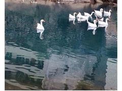 -楠溪江风景名胜区