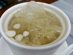 冰糖炖双雪-沙湾姜撞奶甜品店(昌岗中路店)