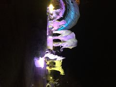 iphone_upload_pic-清迈夜间动物园