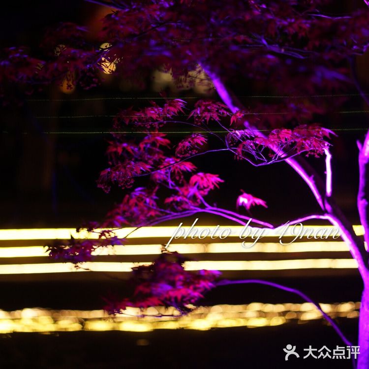 大店切记预约，我们没约只能拿号等