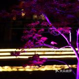 大店切记预约，我们没约只能拿号等