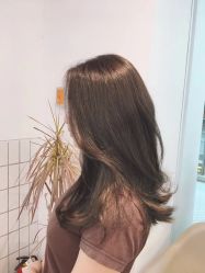 -Y-STUDIO原理