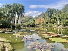 -中国科学院西双版纳热带植物园