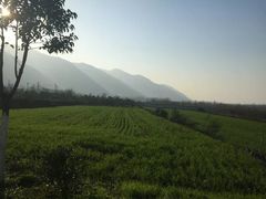 -秦岭风景区