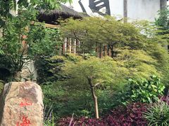 -茅山东方盐湖城景区