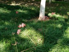 -白塘生态植物园