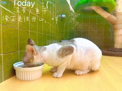 -首开·龙湖成都西宸天街