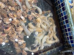 -天盛海鲜烧烤大排档·本地小海鲜·牟平腿穗子(幸福店)